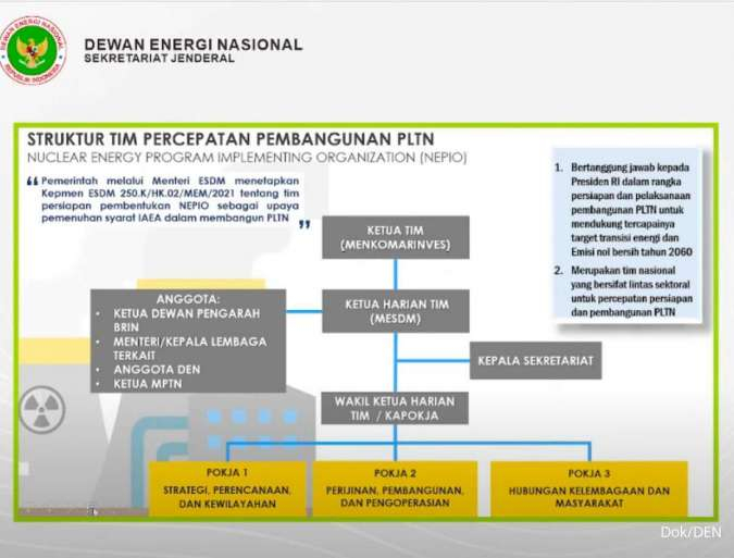 Struktur Organisasi Tim Percepatan Pembangkit Nuklir