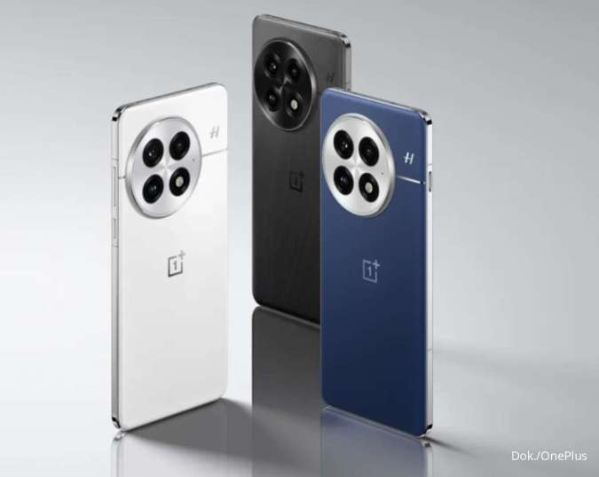 OnePlus 13